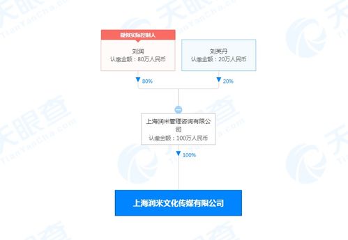 潤米咨詢戰略布局新篇章 設立文化傳媒公司，注冊資本100萬，深化社會經濟咨詢服務生態